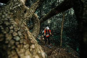 BIB: 
                            <button type="button" onclick="openModal(25704471)" class="btn btn-primary btn-sm float-right btn-popup" data-toggle="modal" data-target=".modal-high-quality">
                        <i class="fas fa-shopping-cart"></i> Add to Cart
                    </button>
                                            <button type="button" onclick="isThisMe(25704471, true)" class="btn btn-success btn-sm float-right btn-popup btn-isme hidden" data-toggle="tooltip" data-placement="bottom" title="นี่คือรูปของคุณใช่ไหม คลิกที่นี่เพื่อเอาเข้าอัลบั้ม">
                        <i class="fas fa-plus"></i> Add to album
                    </button>
                    <button type="button" onclick="isThisMe(25704471, false)" class="btn btn-warning btn-sm float-right btn-popup btn-isnotme hidden">
                        <i class="fas fa-ban"></i> Remove from album
                    </button>